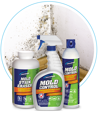 How To Prevent Attic Mold Attic Mold Tips Mold Help For You